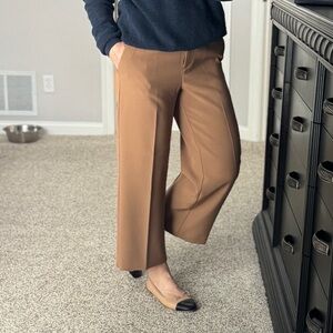 Ann Taylor Tan Trousers